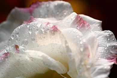 科乐美未来将与全球团队合作 推出更多《寂静岭》系列作品